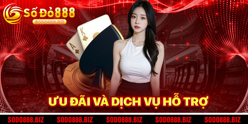 Ưu Đãi và Dịch Vụ Hỗ Trợ