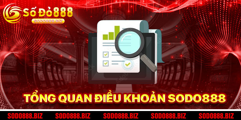 Tổng Quan Điều Khoản Sodo888